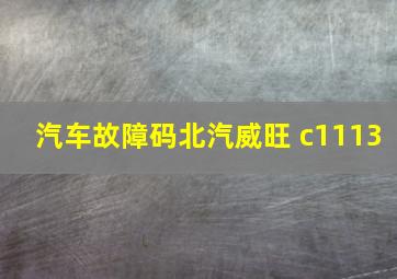 汽车故障码北汽威旺 c1113